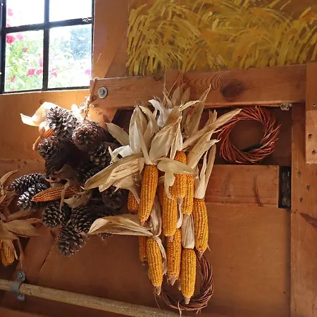 Apartmán Im Heumond In Buschhagen *