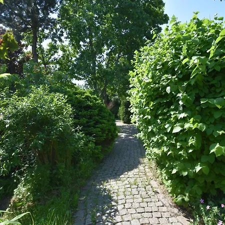 Im Heumond In Buschhagen Apartmán Buschenhagen