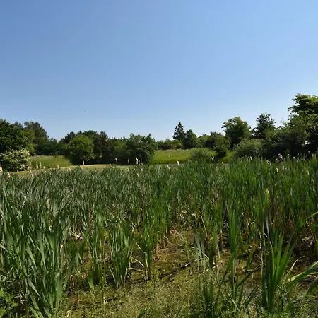 Im Heumond In Buschhagen * Buschenhagen