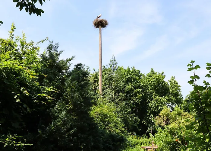 Im Heumond In Buschhagen Buschenhagen