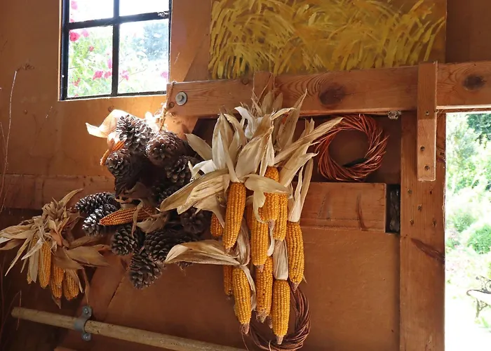 アパート Im Heumond In Buschhagen *