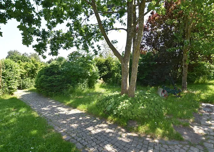 Im Heumond In Buschhagen * Buschenhagen